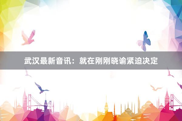 武汉最新音讯：就在刚刚晓谕紧迫决定