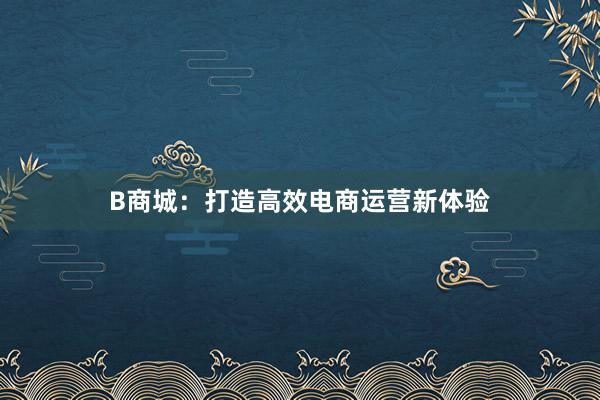 B商城：打造高效电商运营新体验