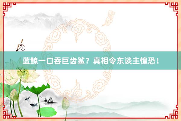 蓝鲸一口吞巨齿鲨？真相令东谈主惶恐！