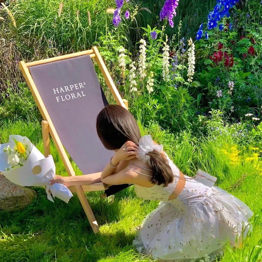 衣锦还乡之孝女拜寿